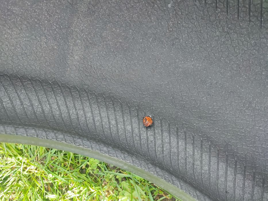 Opony Continental PremiumContact 6 225/45 R19 96 W XL

Czytaj więc