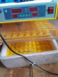 Inkubator na 112 jajek automatyczny