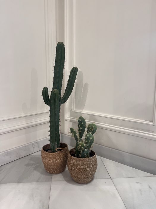 Plantas cactos artificiais