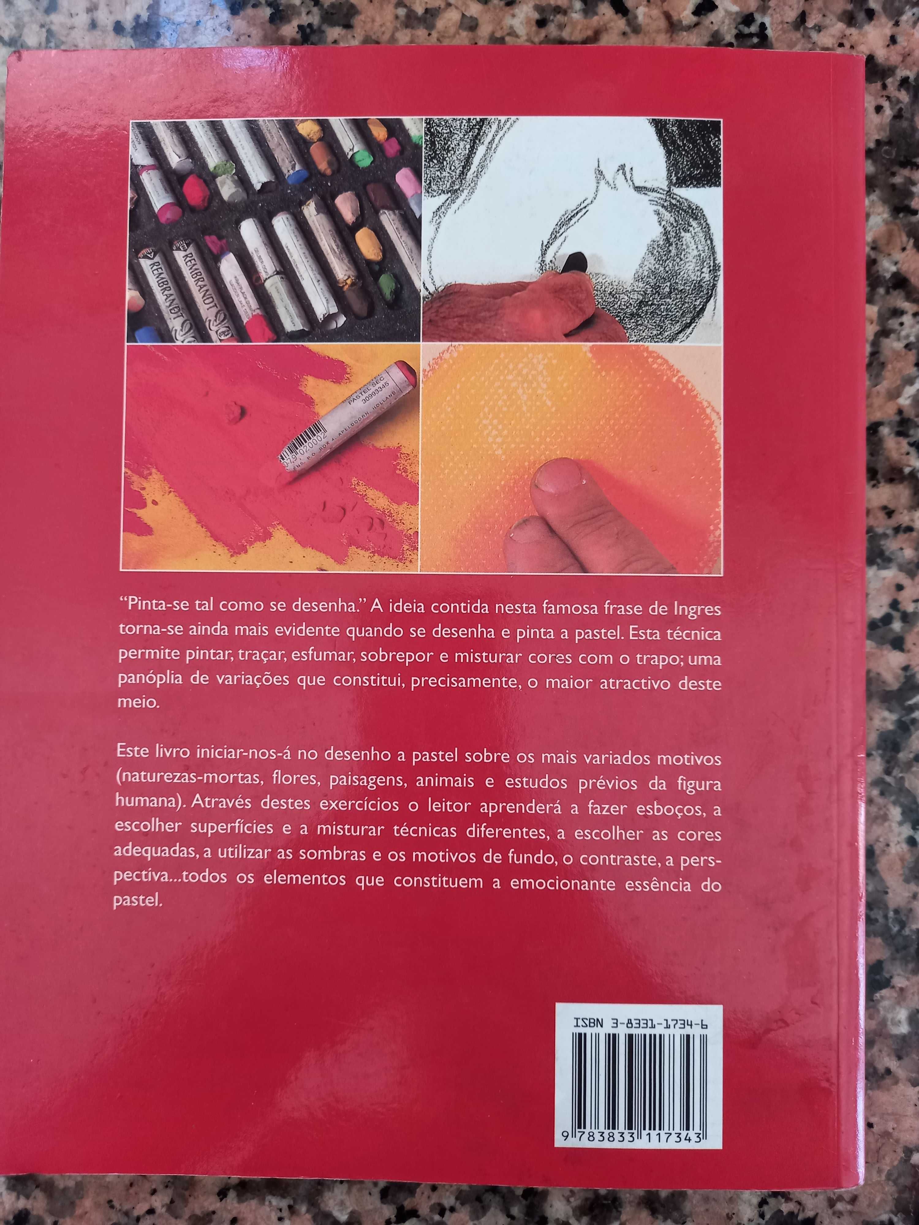 Livro pintura a pastel para iniciantes