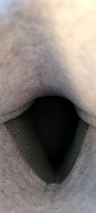 Лижні ботинки Alpina