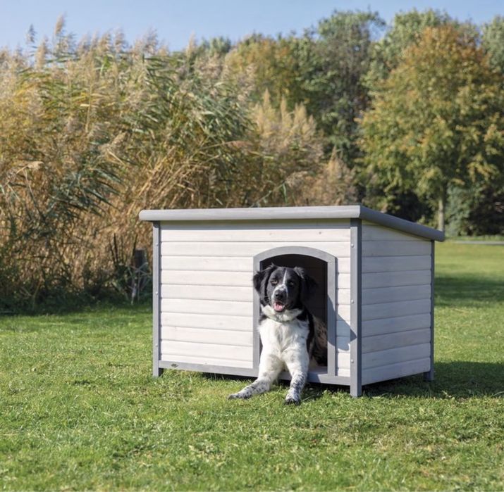 Casota de madeira para cão - PORTES GRÁTIS