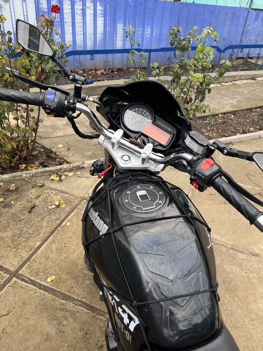 Musstang region 150 2022