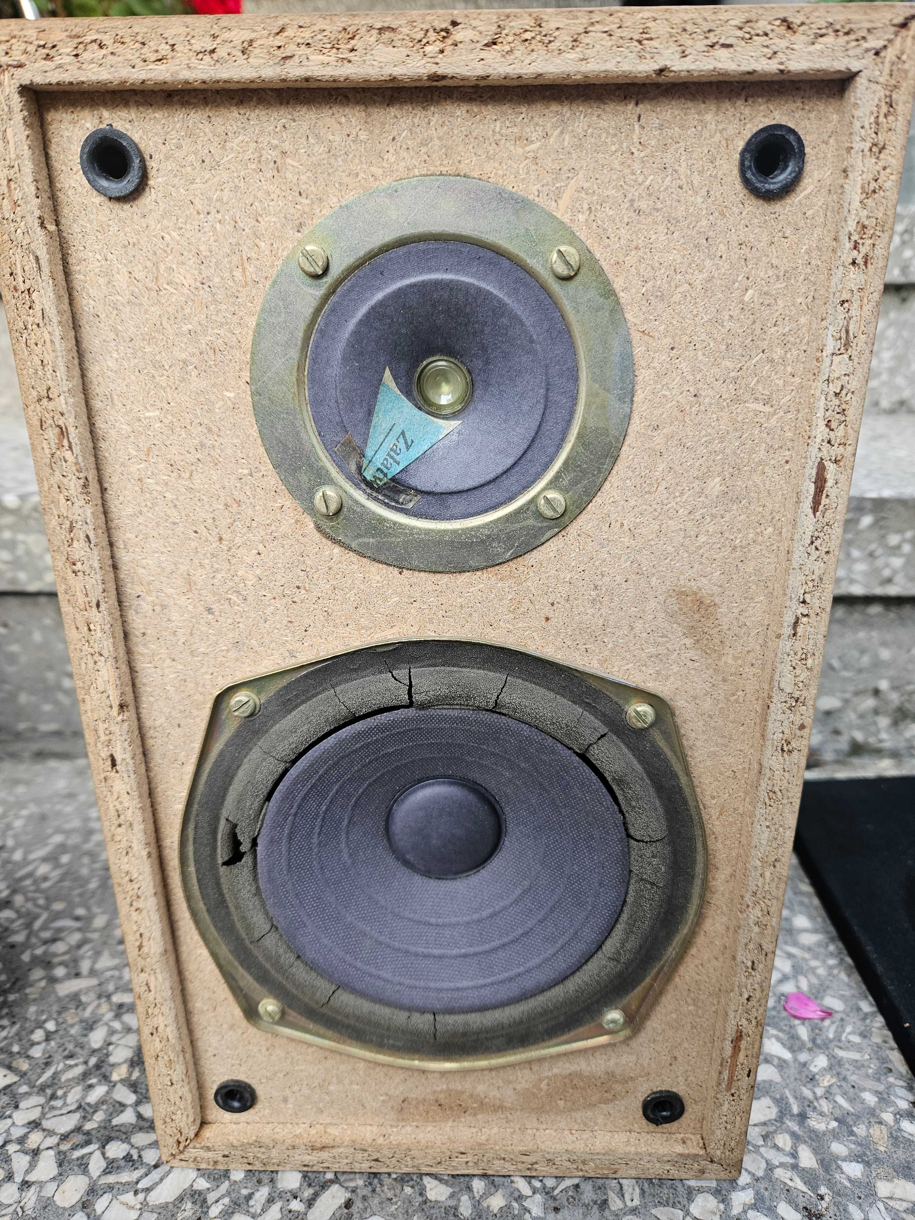 Kolumna Tonsil Zg 15c