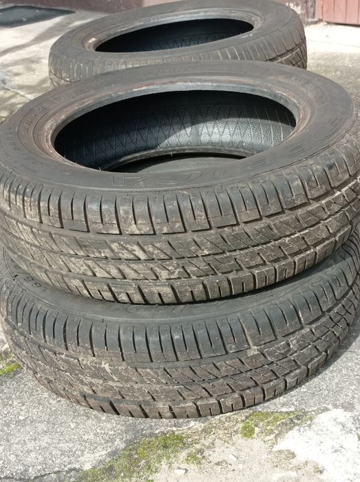 Opony letnie 165/65 R14