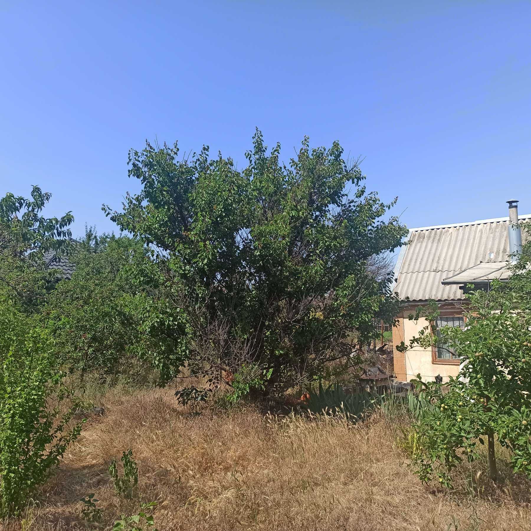 Продаю Дачу, Сади 3