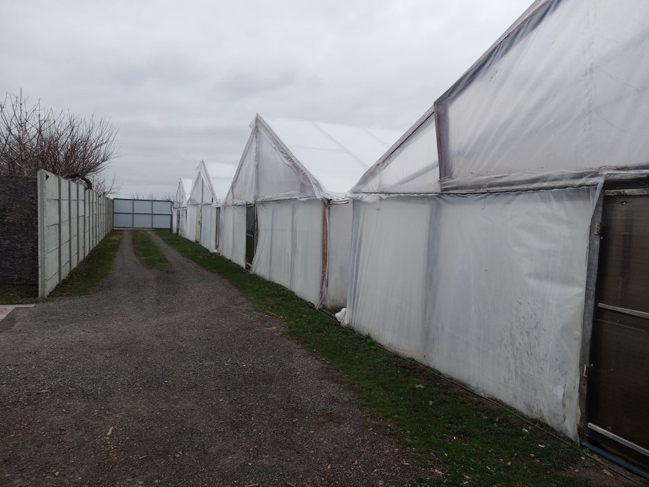 Продам готовый действующий бизнес