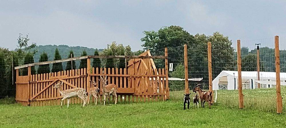 Domek 4/5 osobowy 1 sypialnią i łazienką, Noclegi osada solina