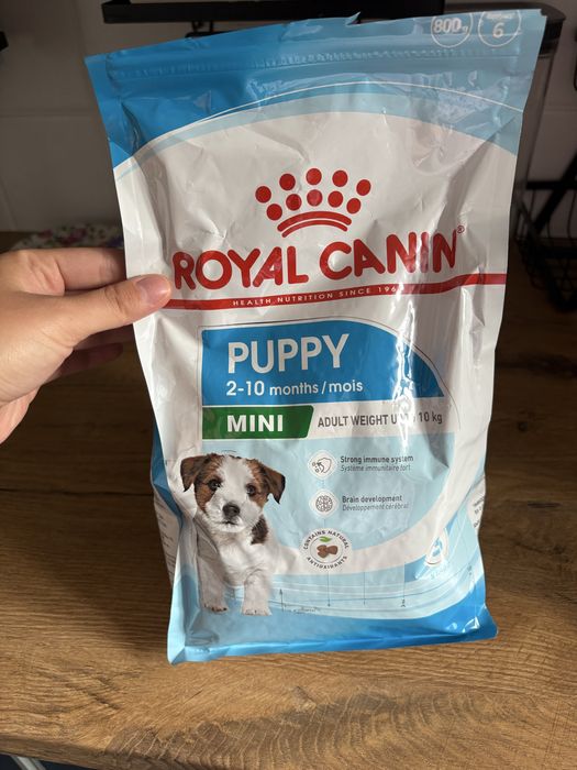 Karma Royal puppy mini