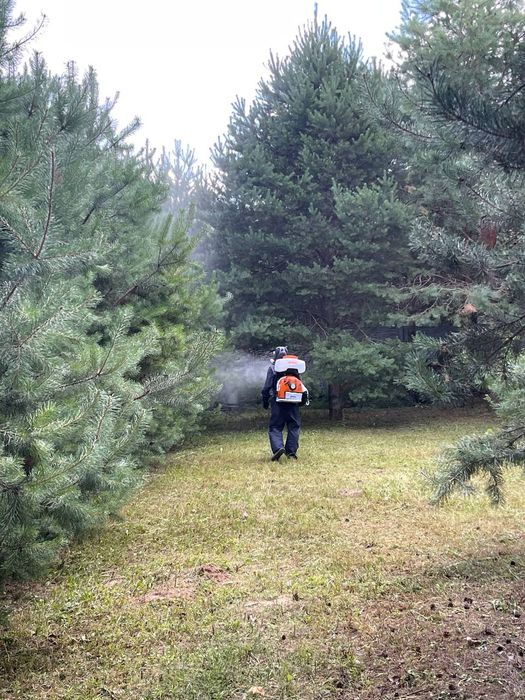 Садові   послуги( Обробка дерев)