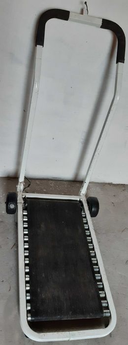 bieznia dla sportowcow seniorow i zwierzakow