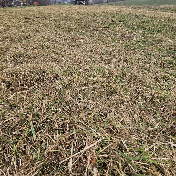 Usługi koszenia/karczowania mulczerem/kosiarką bijakową