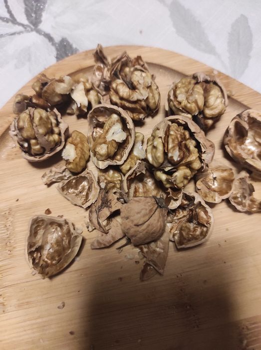 Sprzedam orzechy włoskie Jacki