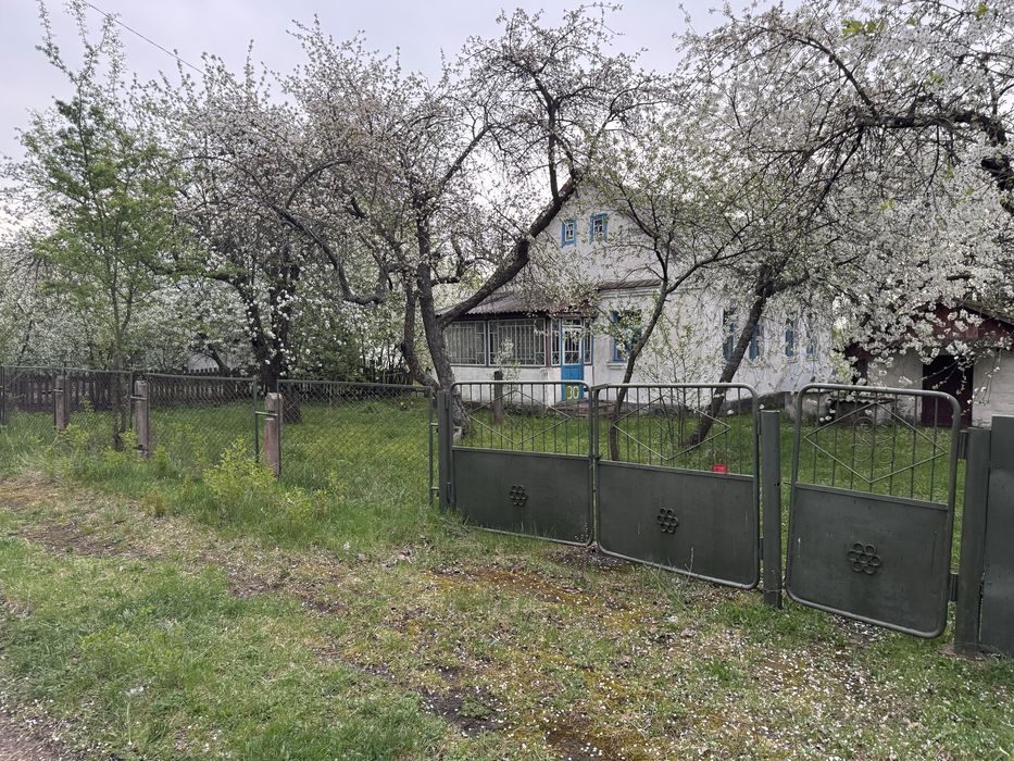 Продам будинок Новаки Житомирська обл.