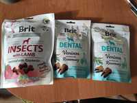 Brit dental 2op i insects 1op przysmaki dla psa