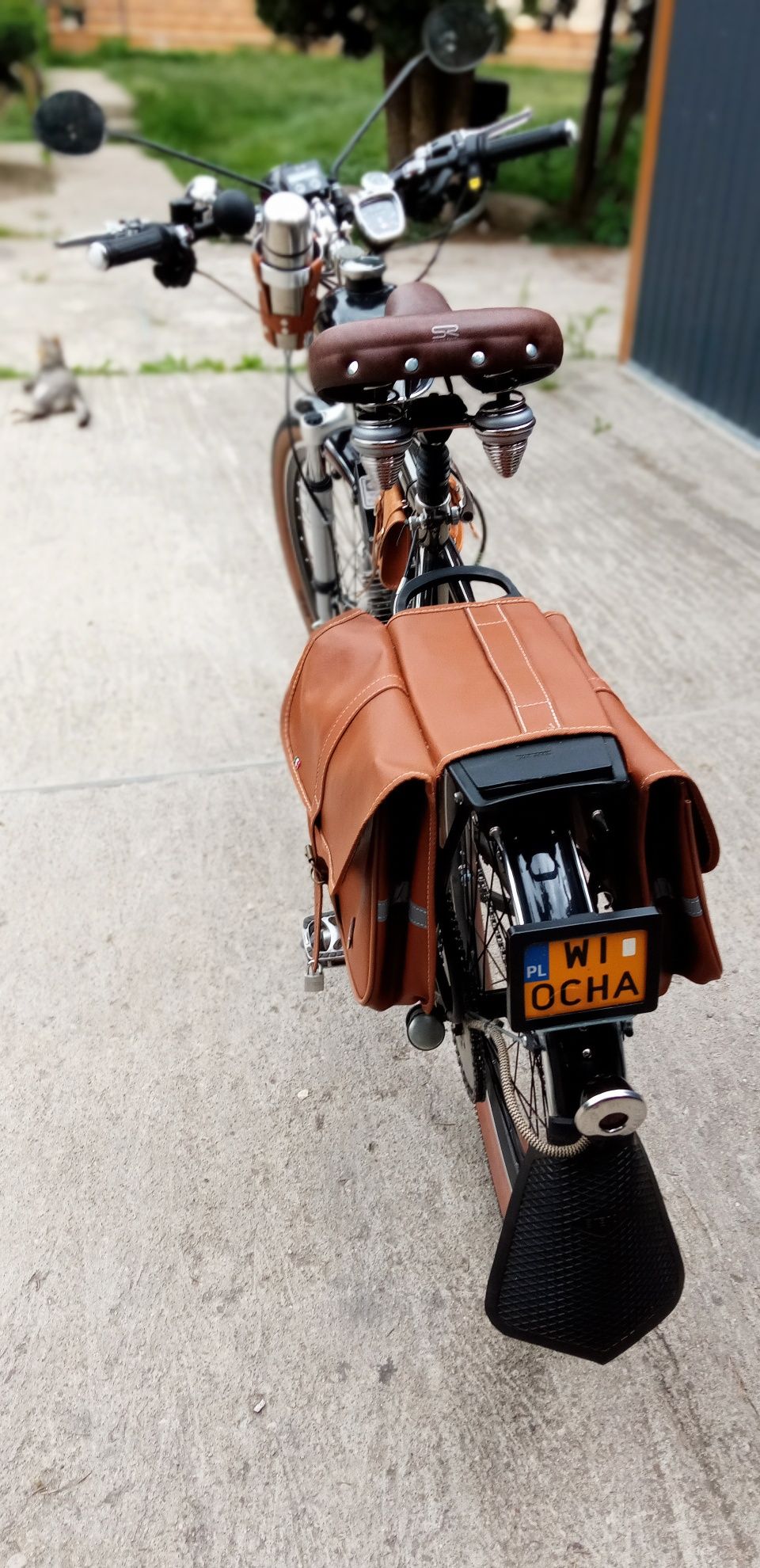 Custom Bike Rower z Silnikiem GREATHIS