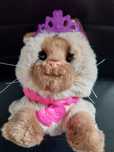 kot zabawka interaktywna Hasbro FurReal Friends