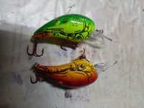 Amostras de pesca ao achiga