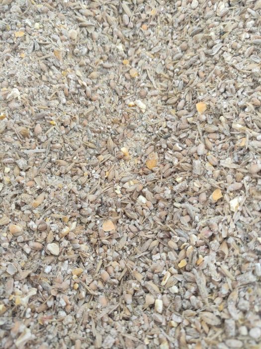 Pasza dla kur niosek gęsi kaczek 25 kg