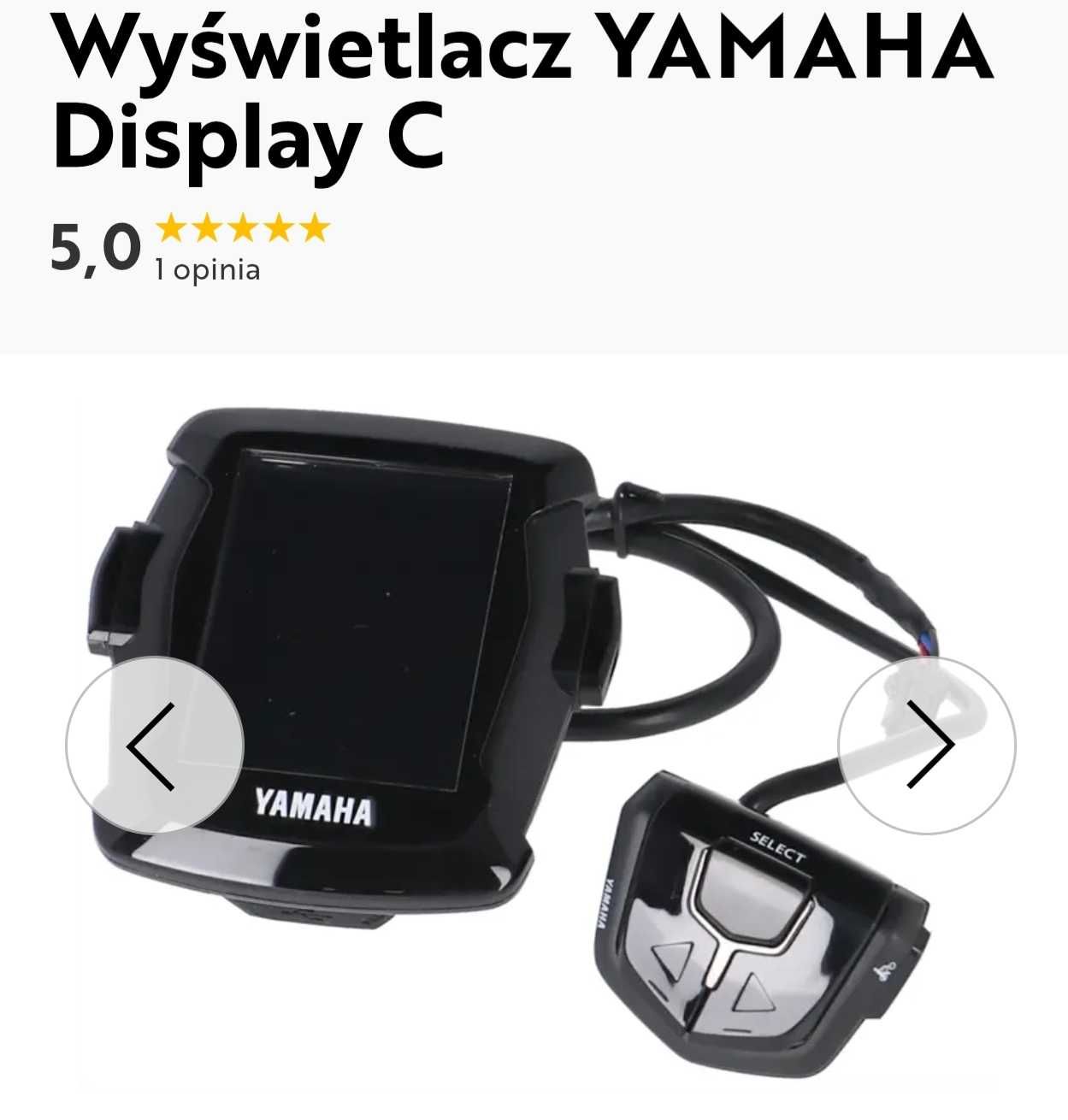 Rower Elektryczny Raymon 4.0