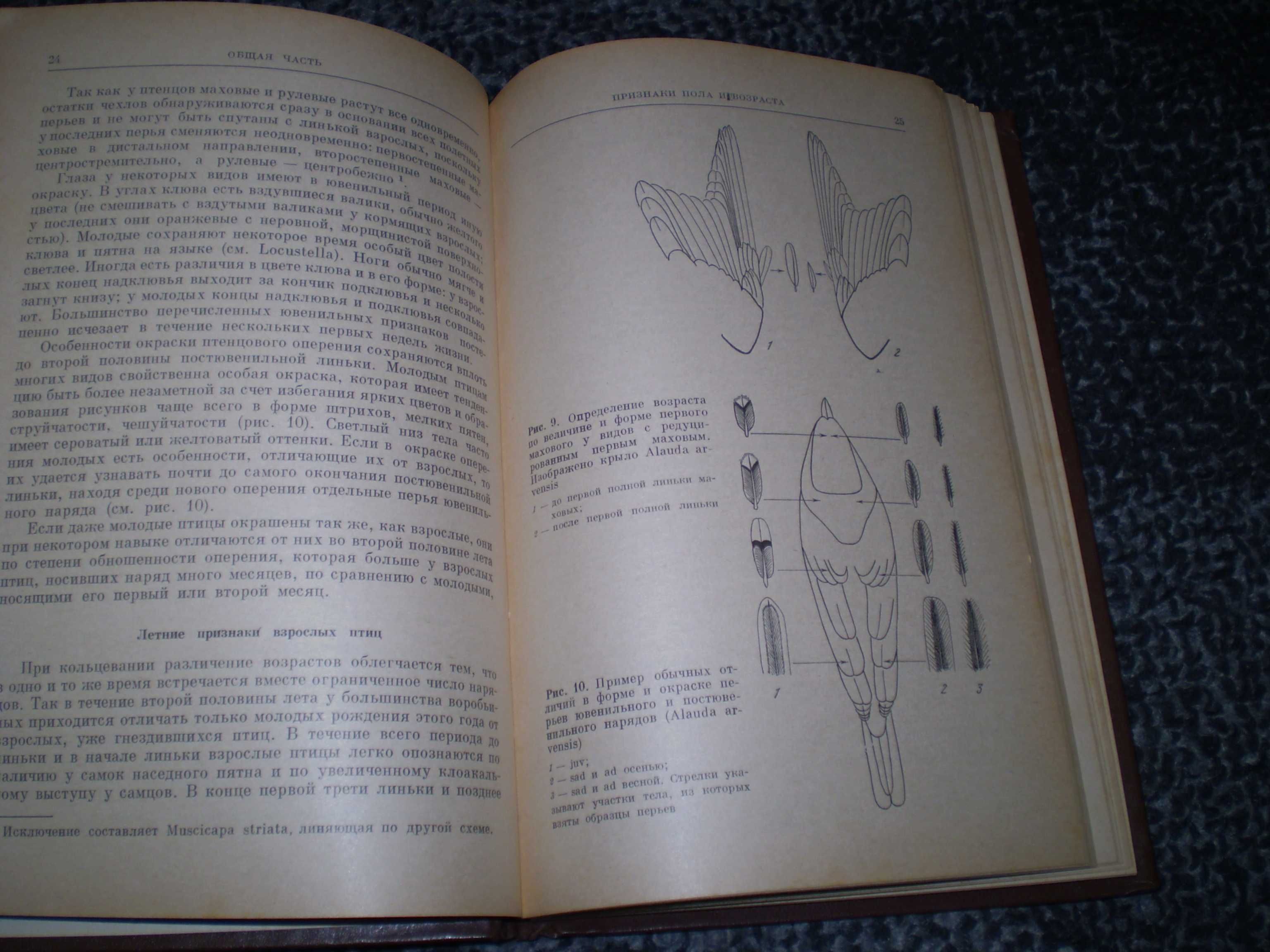 Определение пола и возраста воробьиных птиц фауны СССР. 1976г