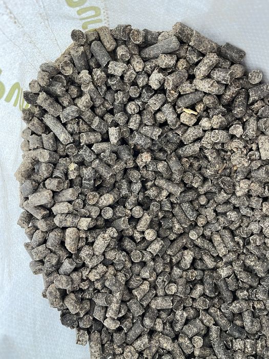 Nutrição Animal Superior - Polpa de Beterraba