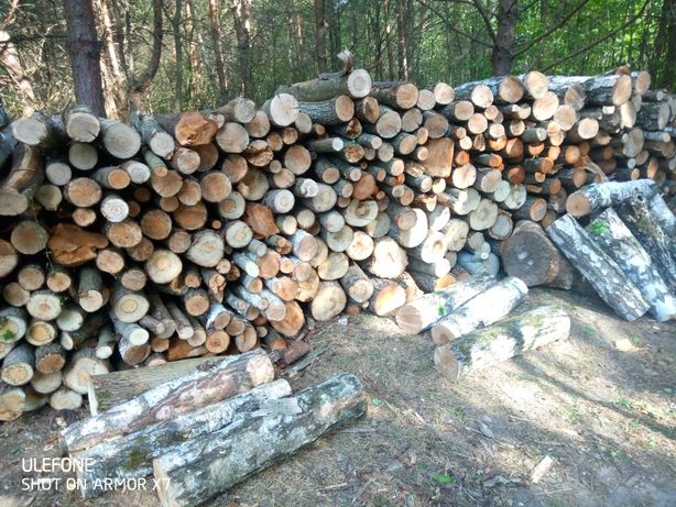 Продам дрова різних порід. Рубані, чурки, метрові