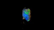 Opal Szlachetny | Opalizujący | 1.1 gr | Minerał Kamień Kryształ