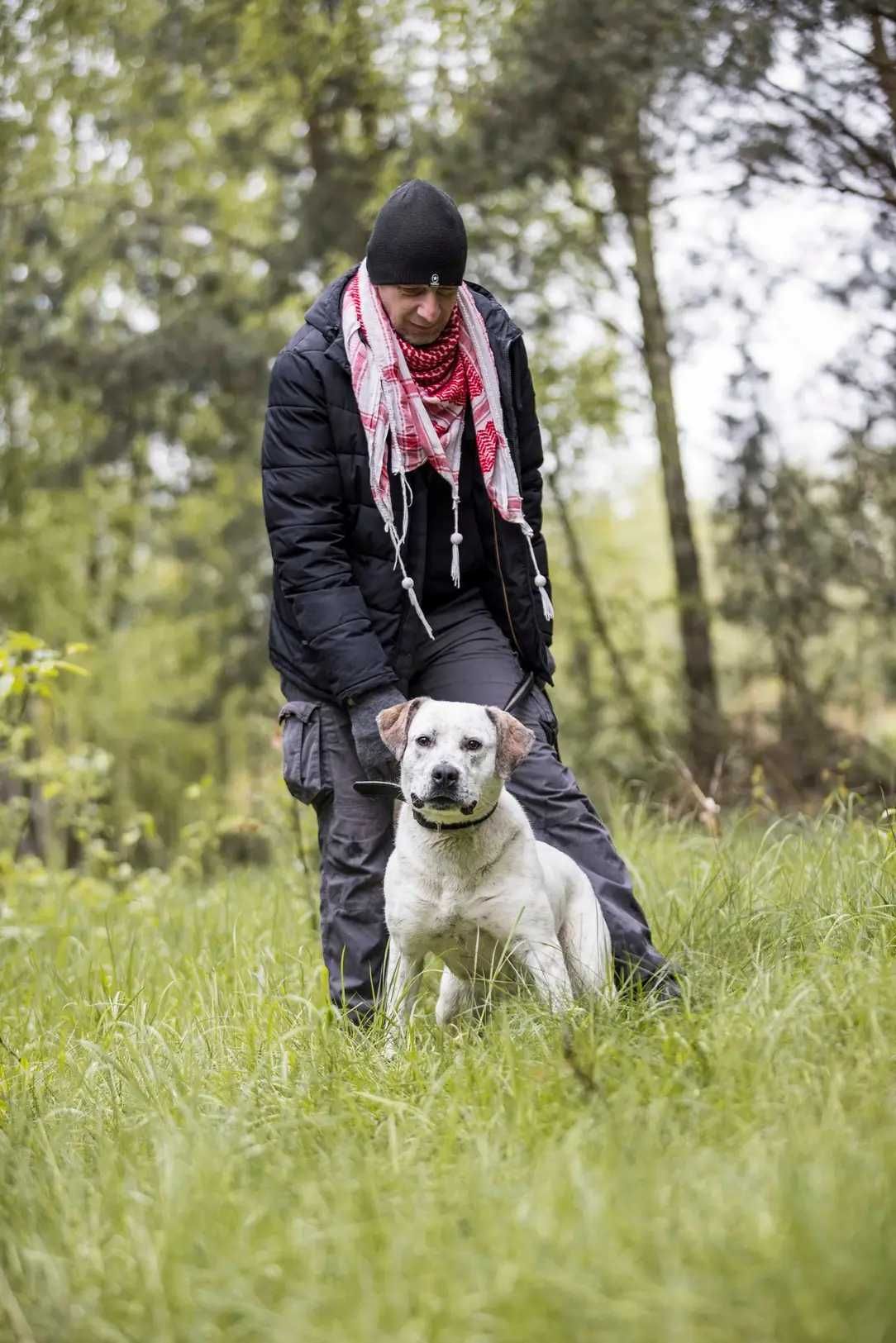 Do adopcji piękna Baffi