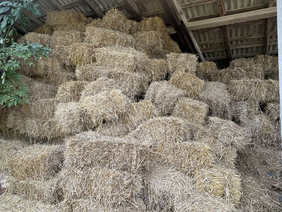 Тюки соломи  квадратні