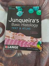 Junqueira's basic histology 13th edition