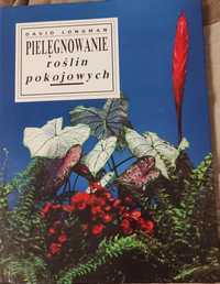 Pielęgnowanie roślin pokojowych.