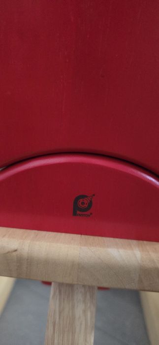 Konik na biegunach Pintoy Ideał