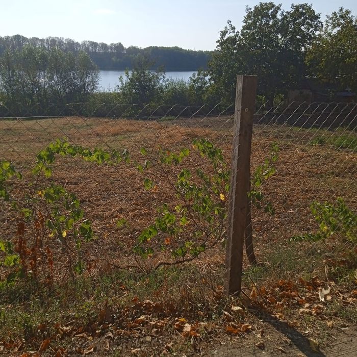 Ділянка  сільскогосподарчого призначення ГЛИБОЧОК ВІННИЦЬКА ОБЛАСТЬ