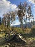 Rower Enduro Radon Swoop 10.0 HD XL - Karbon, Kashima