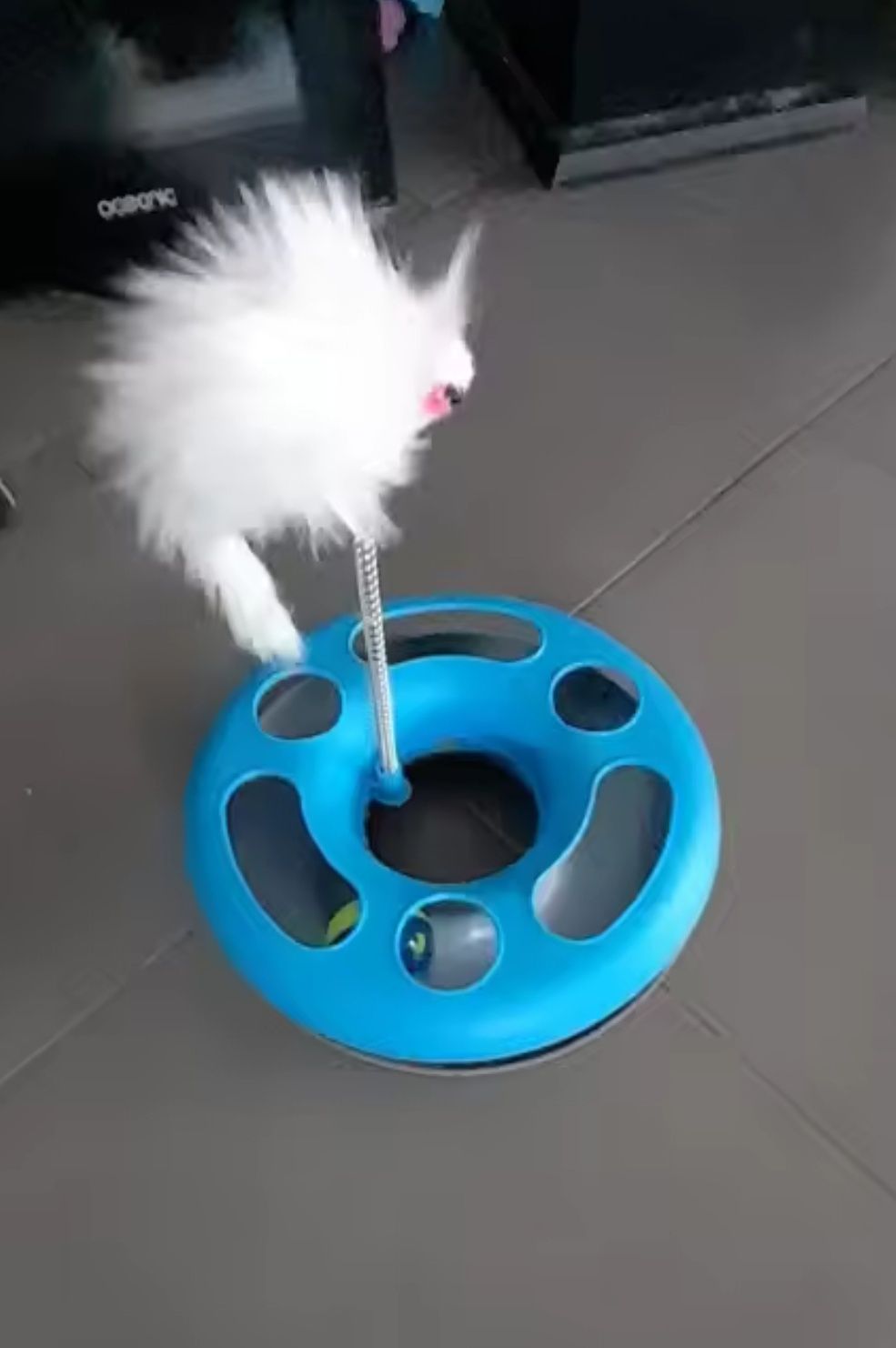 Іграшка для кота