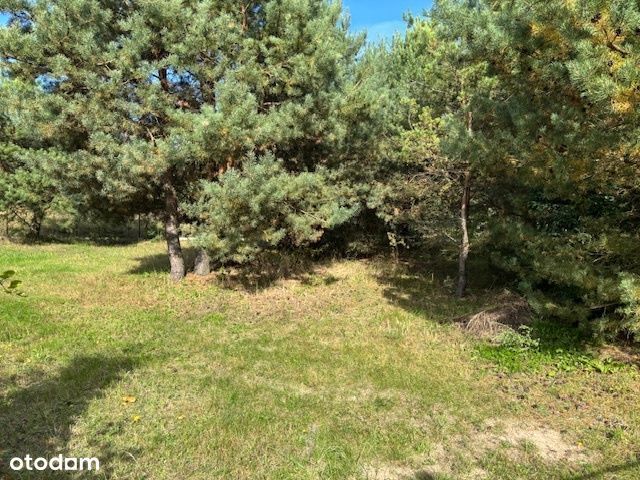 piękna działka budowlana