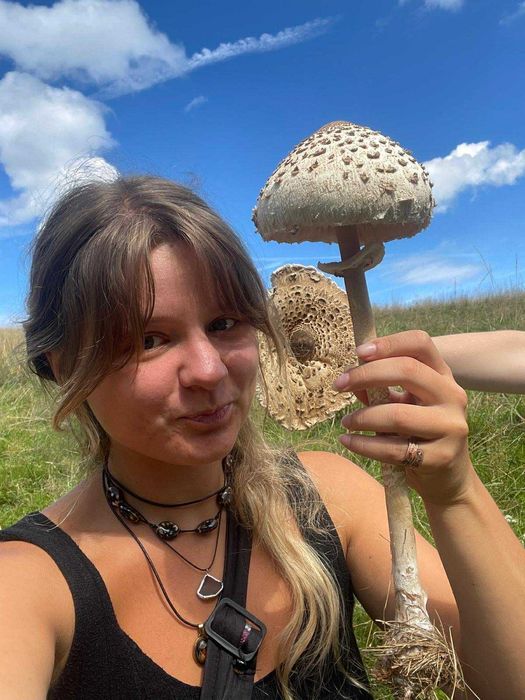 Korepetycje Biologia