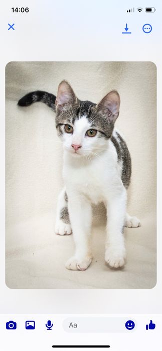 Dlaczego tak dlugo nikt nas nie chce?