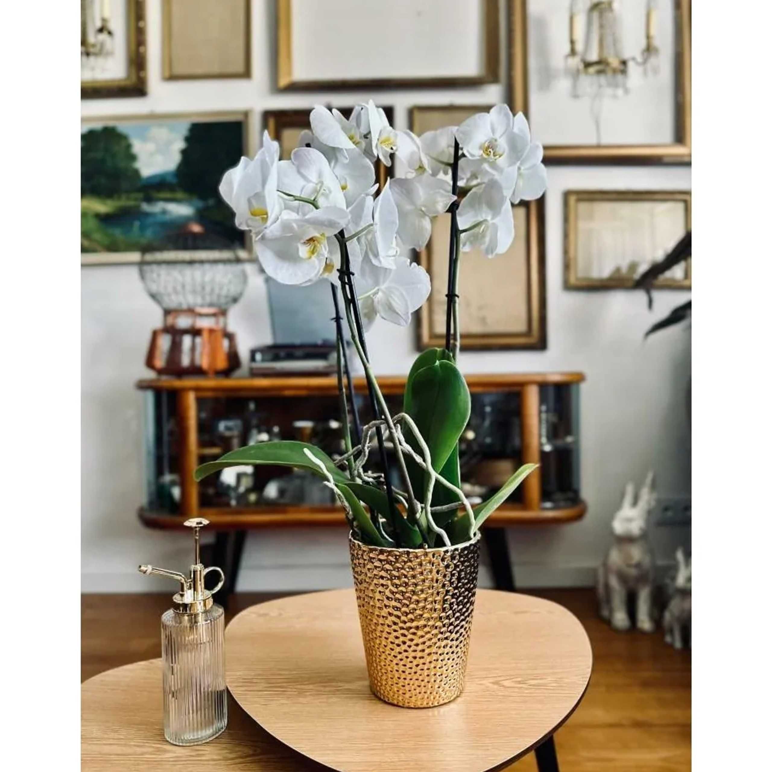 Osłonka Ceramiczna Bubble Orchid Złota Efekt Lustra 13cm d12 Polnix