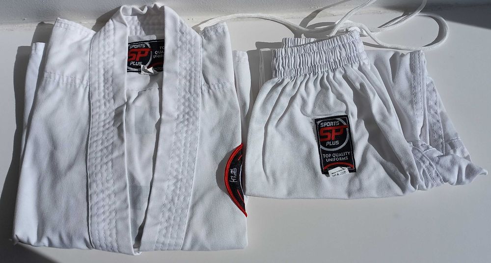 Fatos Taekwondo Criança