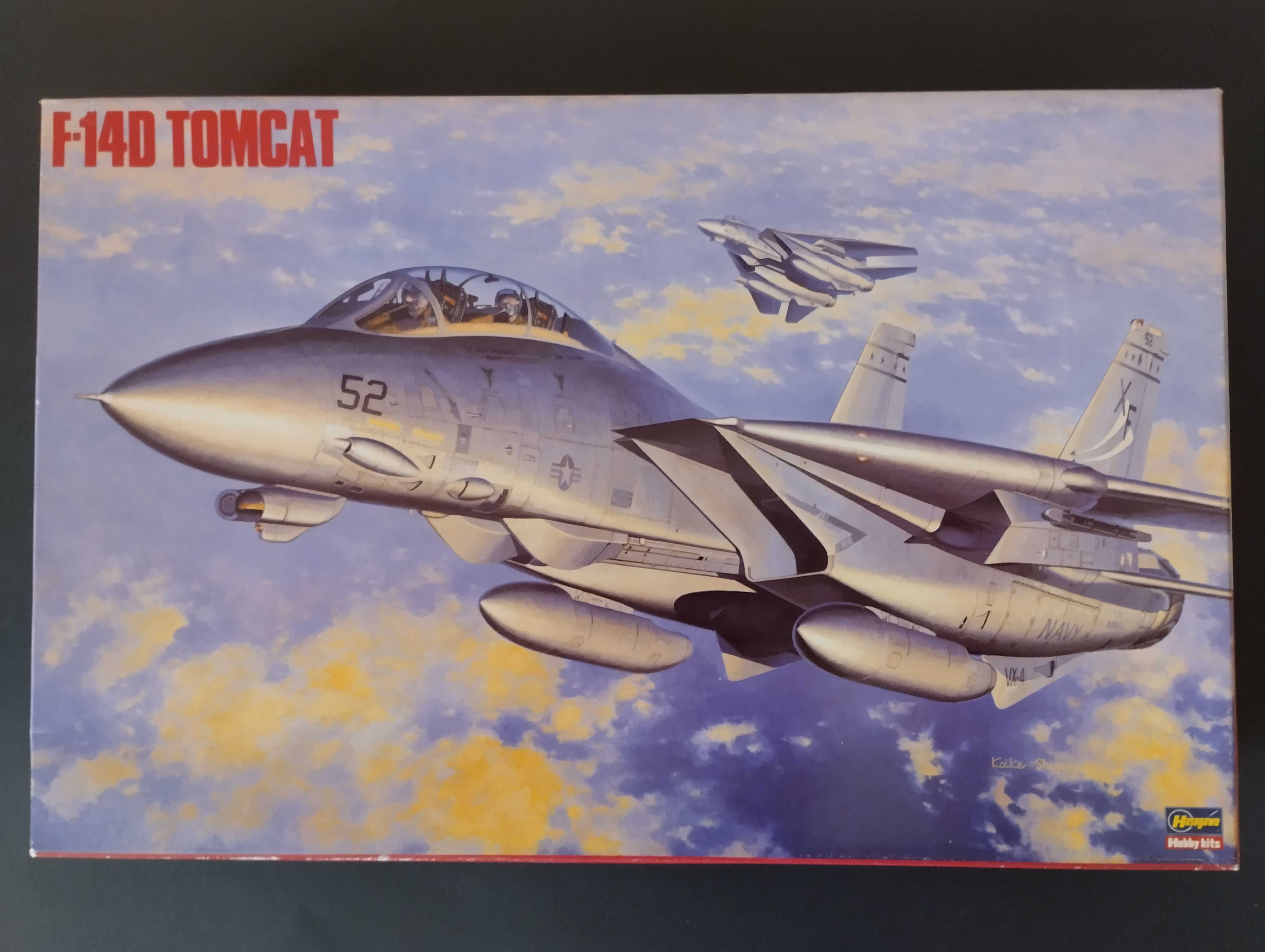 Hasegawa F-14 D Tomcat