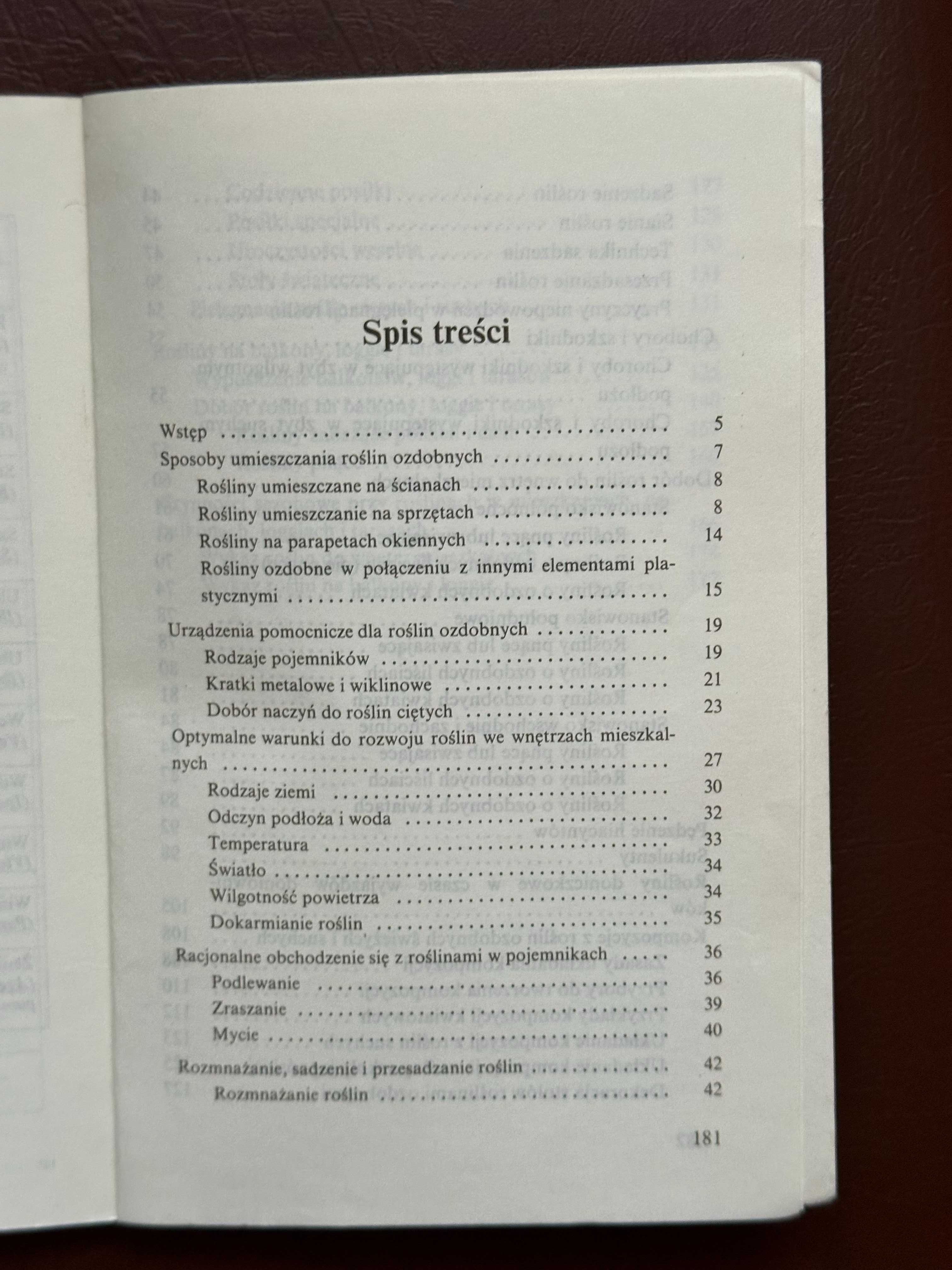 Rośliny ozdobne w mieszkaniu