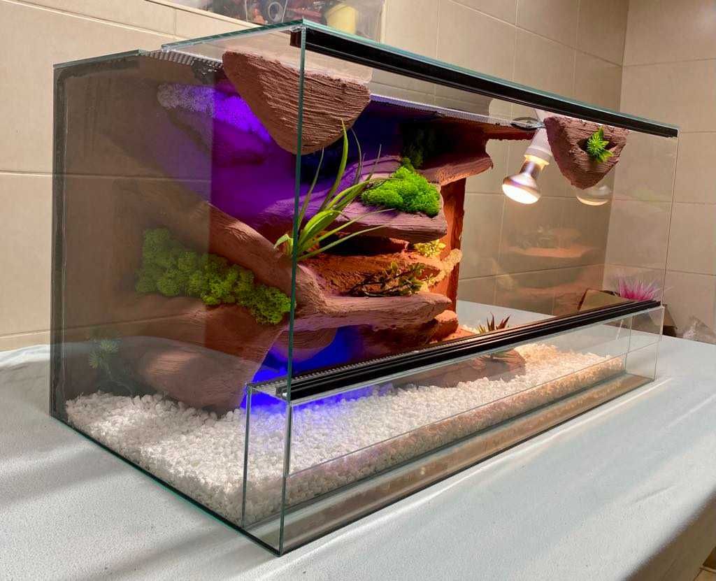 Nowe Terrarium 80x40x40 Gekon Lamparci, Jaszczurka