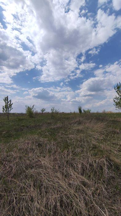 Продаж земельної ділянки с.Красне Обухівського р-ну 12+6 соток