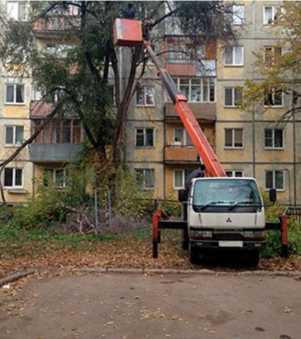 Зрізання аварійних дерев оренда подрібнювача гілля-пнів демонтаж спору