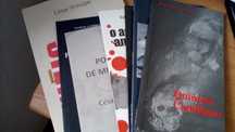 Livros - Vendo conjunto ou unidade