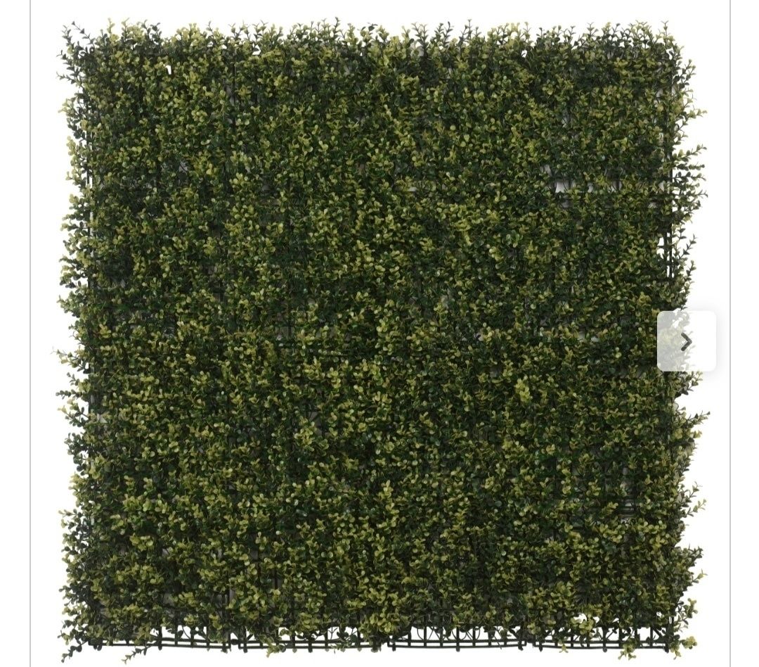 Jardim vertical .