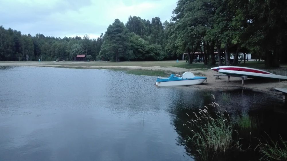 Domek na Boże Ciało Ostrowite Bory Tucholskie las jezioro ryby grzyby