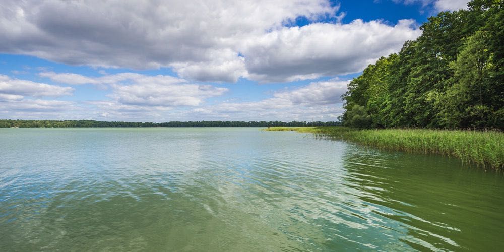 MORYŃ - działka nad jeziorem Morzycko z linią brzegową - MAŁE MAZURY